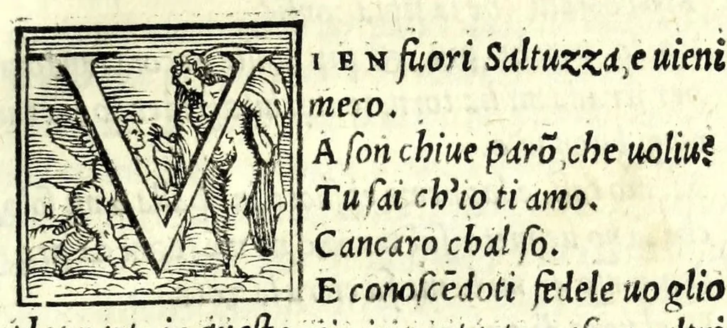 An illustration from La piacevole, et giocosa comedia di m. Andrea Calmo intitolata Il Saltvzza : non piv venvta in luce, cosa bellissima, 1551, leaf 9
