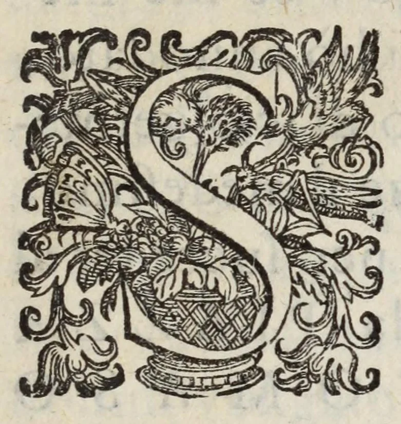 An illustration from La piazza vniversale di tvtte le professioni del mondo, 1610, leaf 7