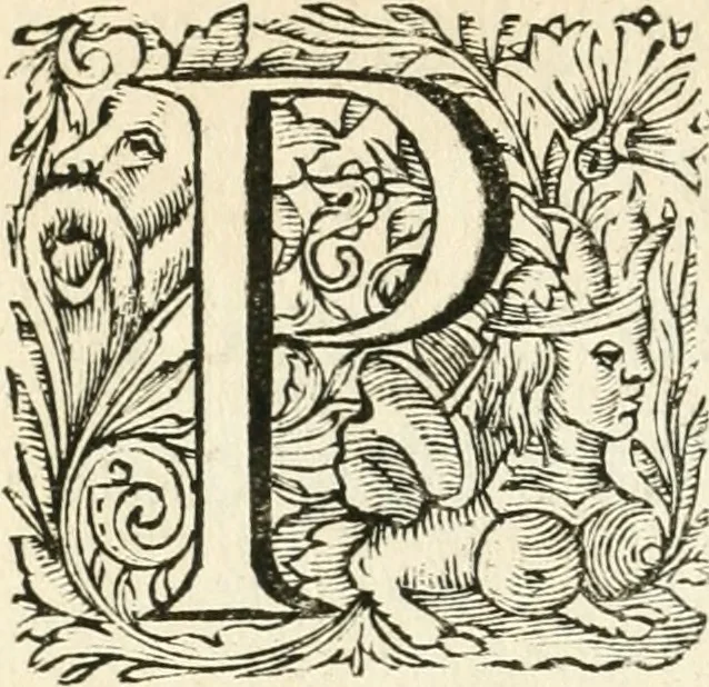 An illustration from Mundi lapis lydius, siue, Vanitas per veritate[m] falsi accusata & conuicta, 1639, leaf 11