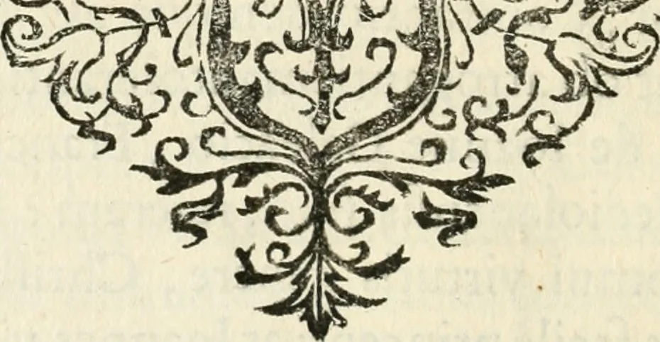 An illustration from Mundi lapis lydius, siue, Vanitas per veritate[m] falsi accusata & conuicta, 1639, leaf 181