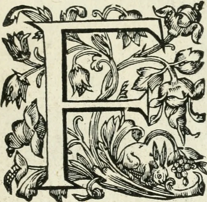 An illustration from Mundi lapis lydius, siue, Vanitas per veritate[m] falsi accusata & conuicta, 1639, leaf 30
