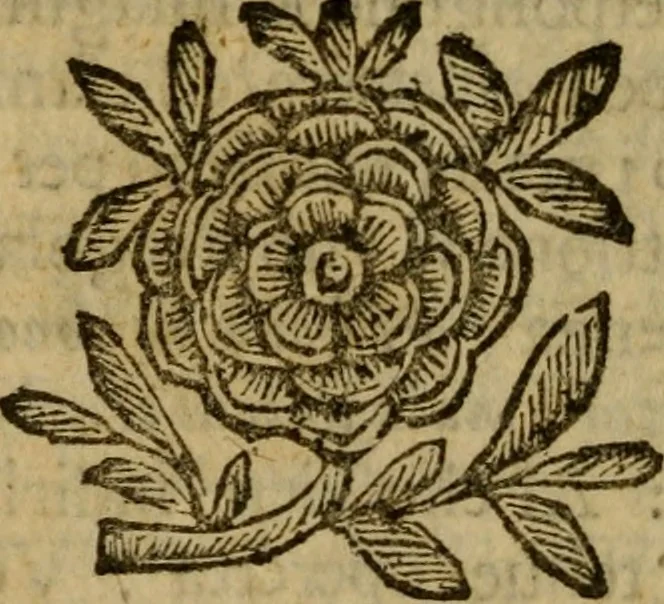 An illustration from La pittura in giudicio, ouero, Il bene delle oneste pitture e'l male delle oscene, 1697, leaf 327