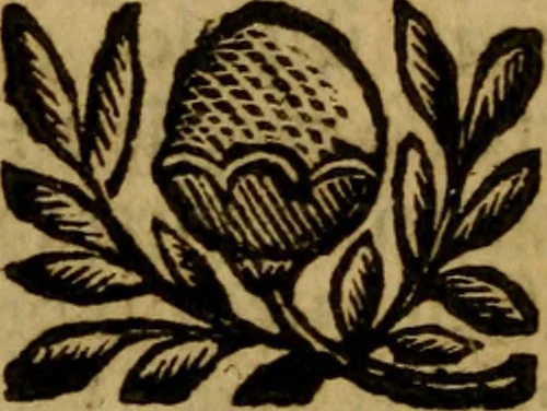 An illustration from La pittura in giudicio, ouero, Il bene delle oneste pitture e'l male delle oscene, 1697, leaf 63