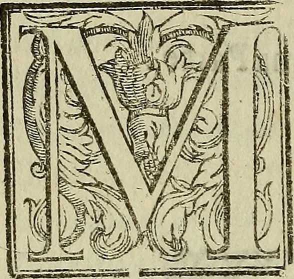 An illustration from La pittvra trionfante, 1615, leaf 19