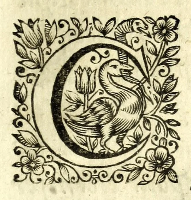 An illustration from La pratique du caualier, ou, L'exercice de monter a cheual : qui enseigne la methode de reduire les cheuaux dans l'obeissance des plus beaux airs & maneiges, 1650, leaf 15