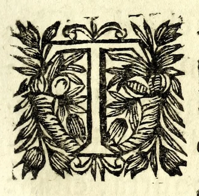 An illustration from La pratique du caualier, ou, L'exercice de monter a cheual : qui enseigne la methode de reduire les cheuaux dans l'obeissance des plus beaux airs & maneiges, 1650, leaf 211
