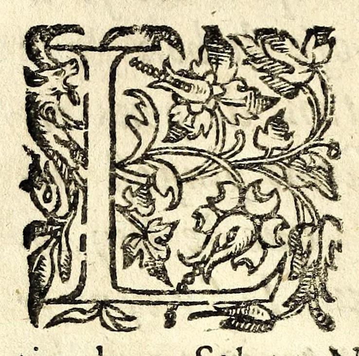 An illustration from La pratique du caualier, ou, L'exercice de monter a cheual : qui enseigne la methode de reduire les cheuaux dans l'obeissance des plus beaux airs & maneiges, 1650, leaf 24