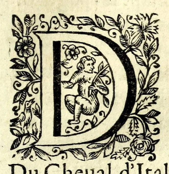 An illustration from La pratique du caualier, ou, L'exercice de monter a cheual : qui enseigne la methode de reduire les cheuaux dans l'obeissance des plus beaux airs & maneiges, 1650, leaf 261