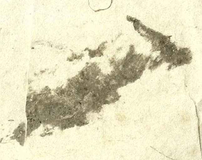 An illustration from La pratique du caualier, ou, L'exercice de monter a cheual : qui enseigne la methode de reduire les cheuaux dans l'obeissance des plus beaux airs & maneiges, 1650, leaf 267