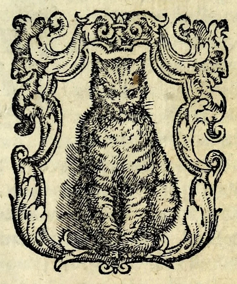 An illustration from La prigione : comedia, 1587, leaf 3