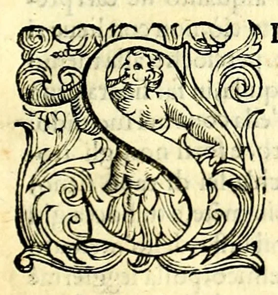 An illustration from La prima parte dell'imprese di Scipion Bargagli : dove, doppo tutte l'opere cosi a penna, come a stampa, ch' egli ha potuto vedere di coloro, che della materia dell'imprese hanno parlato, della vera natura di quelle si ragiona, 1589, leaf 117