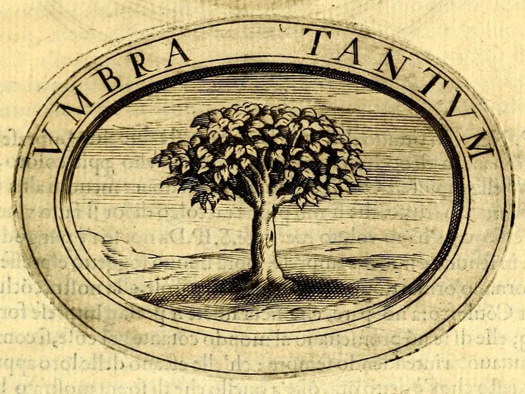 An illustration from La prima parte dell'imprese di Scipion Bargagli : dove, doppo tutte l'opere cosi a penna, come a stampa, ch' egli ha potuto vedere di coloro, che della materia dell'imprese hanno parlato, della vera natura di quelle si ragiona, 1589, leaf 39