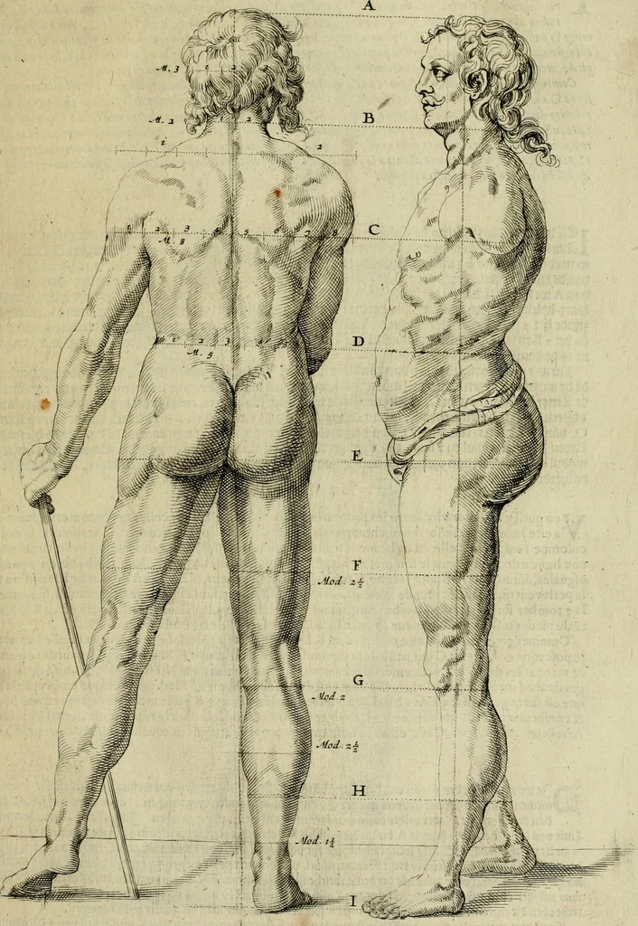 An illustration from La prima-[quinta] parte della luce del dipingere et disegnare, ..., 1643, leaf 104