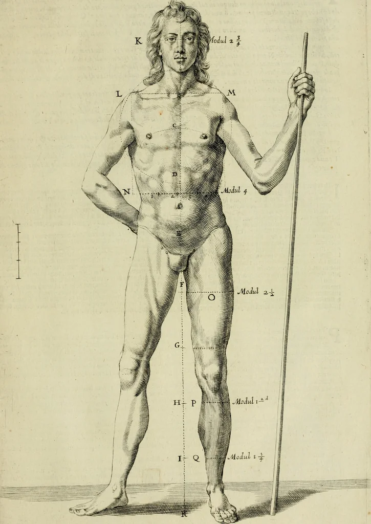 An illustration from La prima-[quinta] parte della luce del dipingere et disegnare, ..., 1643, leaf 106