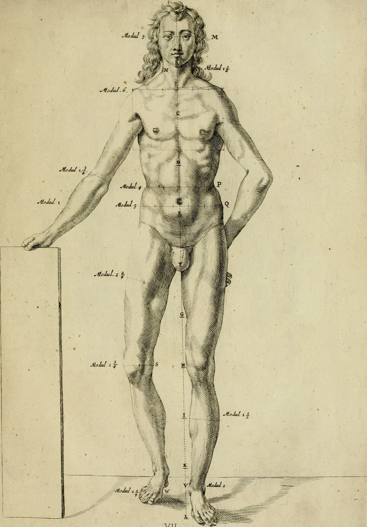An illustration from La prima-[quinta] parte della luce del dipingere et disegnare, ..., 1643, leaf 110