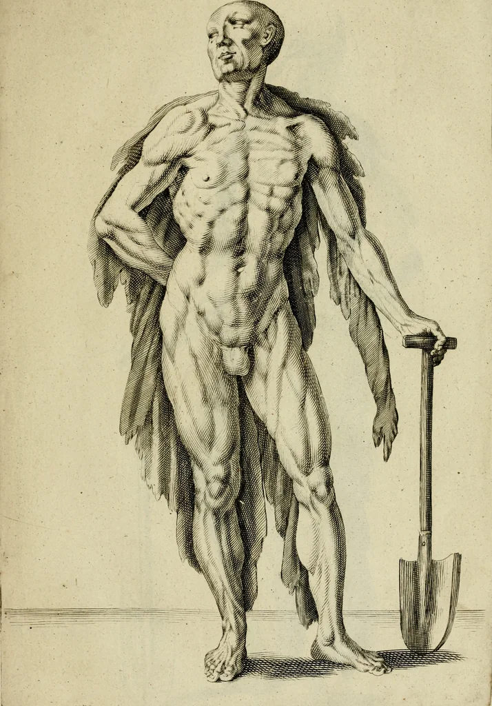 An illustration from La prima-[quinta] parte della luce del dipingere et disegnare, ..., 1643, leaf 112