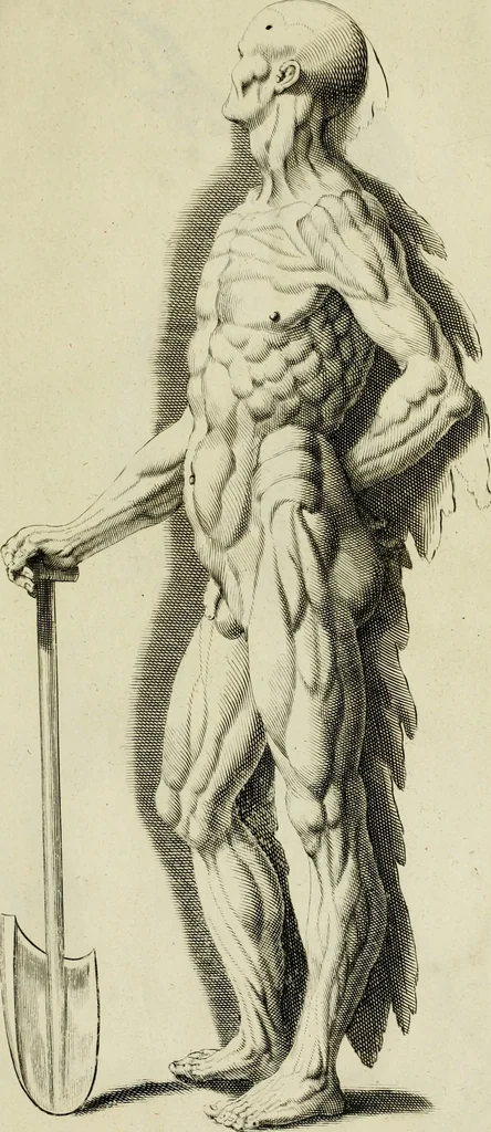 An illustration from La prima-[quinta] parte della luce del dipingere et disegnare, ..., 1643, leaf 114