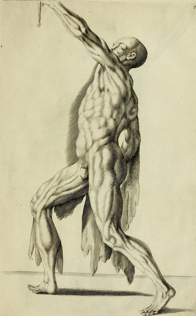 An illustration from La prima-[quinta] parte della luce del dipingere et disegnare, ..., 1643, leaf 116