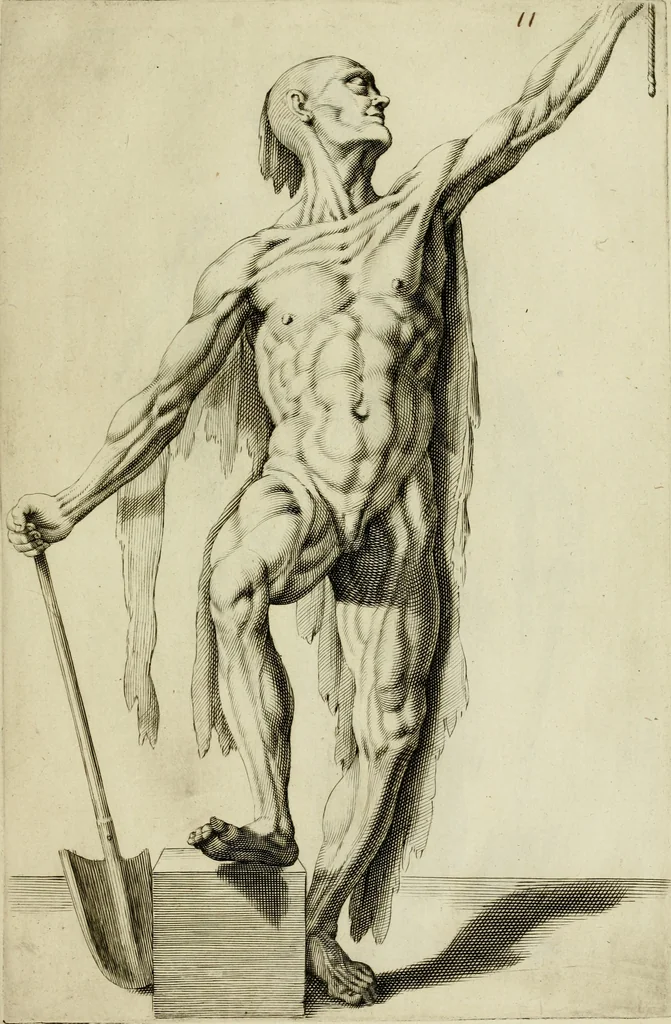 An illustration from La prima-[quinta] parte della luce del dipingere et disegnare, ..., 1643, leaf 118