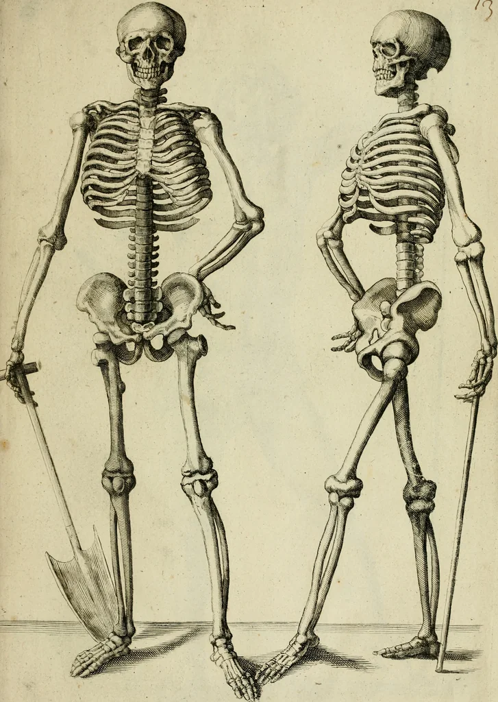 An illustration from La prima-[quinta] parte della luce del dipingere et disegnare, ..., 1643, leaf 122