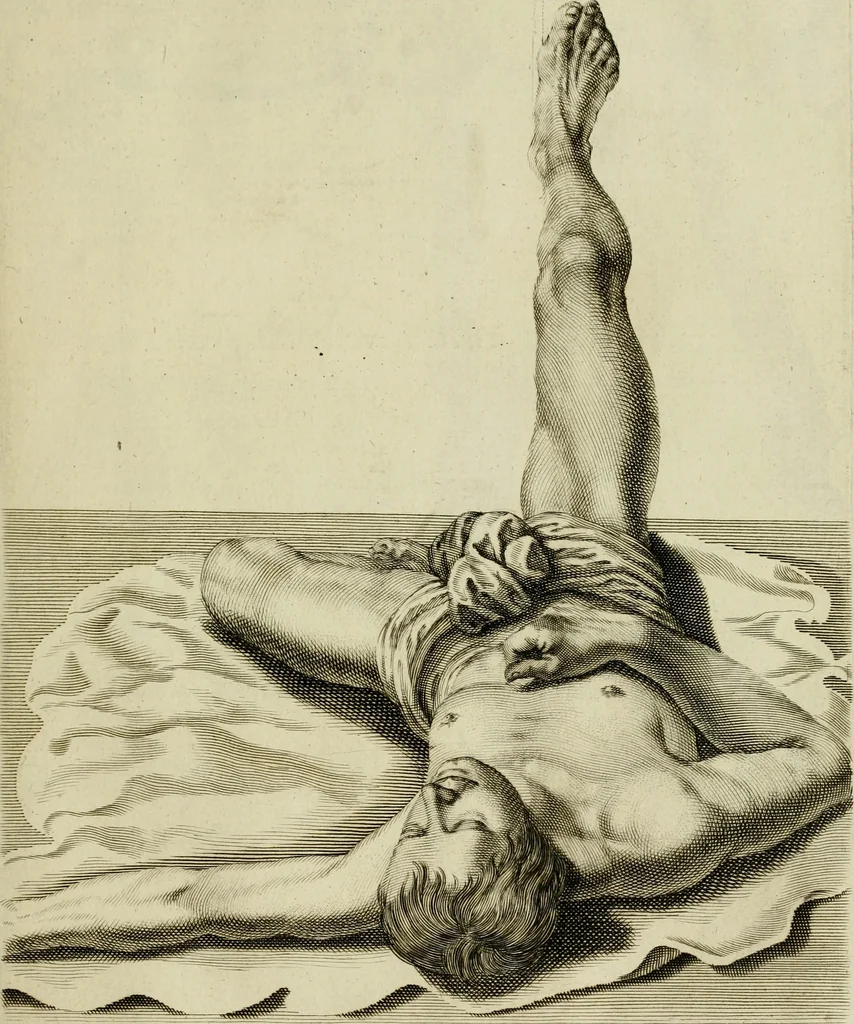 An illustration from La prima-[quinta] parte della luce del dipingere et disegnare, ..., 1643, leaf 146
