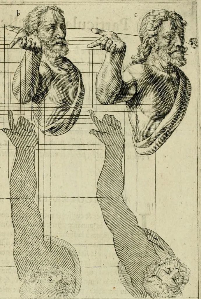 An illustration from La prima-[quinta] parte della luce del dipingere et disegnare, ..., 1643, leaf 150