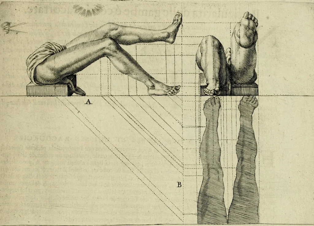 An illustration from La prima-[quinta] parte della luce del dipingere et disegnare, ..., 1643, leaf 152
