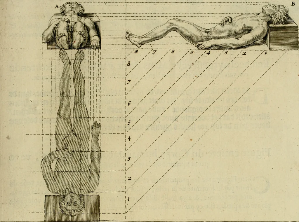 An illustration from La prima-[quinta] parte della luce del dipingere et disegnare, ..., 1643, leaf 162