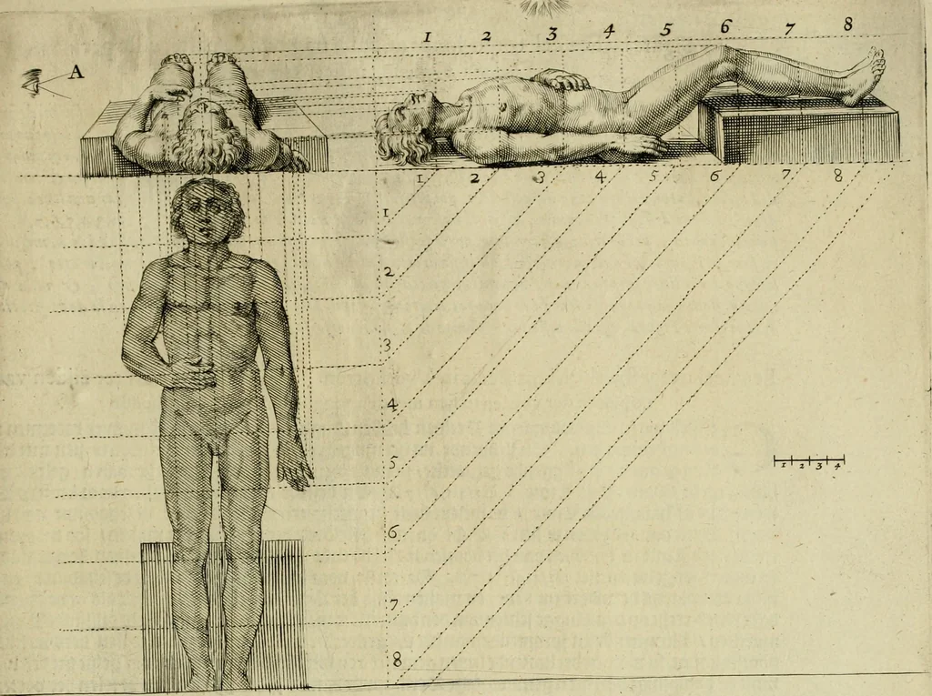 An illustration from La prima-[quinta] parte della luce del dipingere et disegnare, ..., 1643, leaf 164