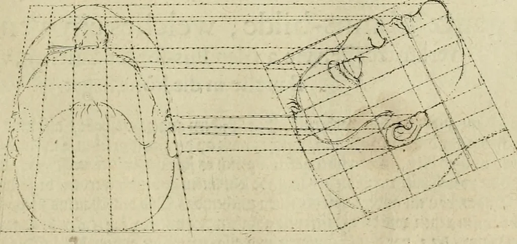 An illustration from La prima-[quinta] parte della luce del dipingere et disegnare, ..., 1643, leaf 164