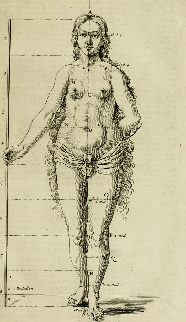 An illustration from La prima-[quinta] parte della luce del dipingere et disegnare, ..., 1643, leaf 174