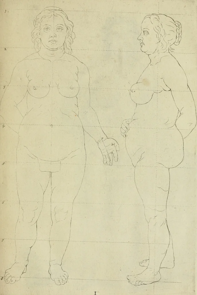 An illustration from La prima-[quinta] parte della luce del dipingere et disegnare, ..., 1643, leaf 176