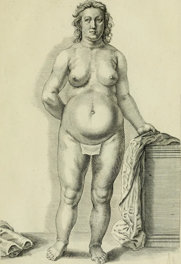 An illustration from La prima-[quinta] parte della luce del dipingere et disegnare, ..., 1643, leaf 178