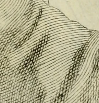 An illustration from La prima-[quinta] parte della luce del dipingere et disegnare, ..., 1643, leaf 256