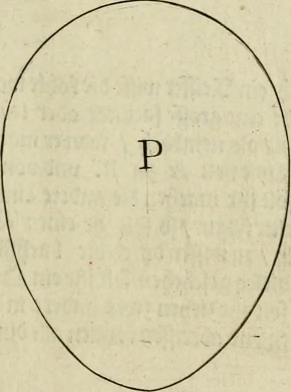 An illustration from La prima-[quinta] parte della luce del dipingere et disegnare, ..., 1643, leaf 26