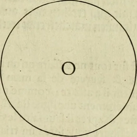 An illustration from La prima-[quinta] parte della luce del dipingere et disegnare, ..., 1643, leaf 26