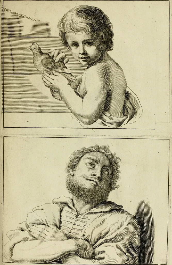 An illustration from La prima-[quinta] parte della luce del dipingere et disegnare, ..., 1643, leaf 262
