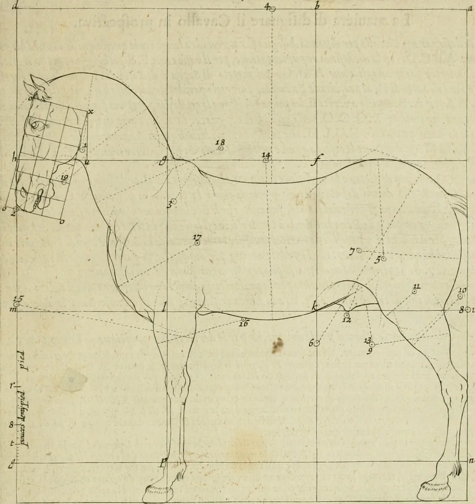 An illustration from La prima-[quinta] parte della luce del dipingere et disegnare, ..., 1643, leaf 310
