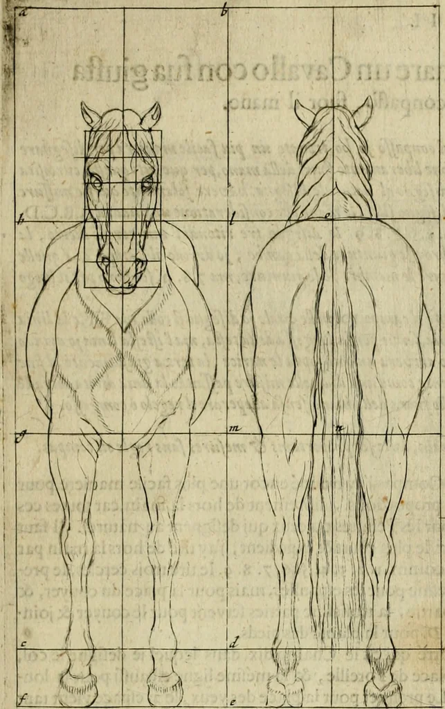 An illustration from La prima-[quinta] parte della luce del dipingere et disegnare, ..., 1643, leaf 312