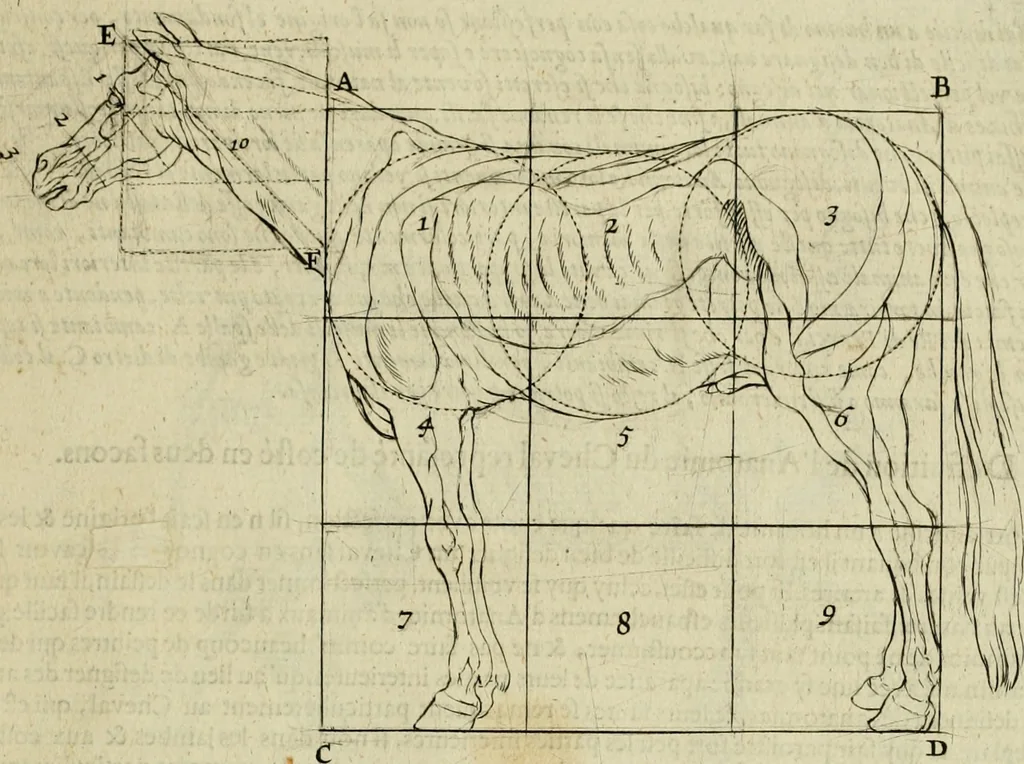 An illustration from La prima-[quinta] parte della luce del dipingere et disegnare, ..., 1643, leaf 314