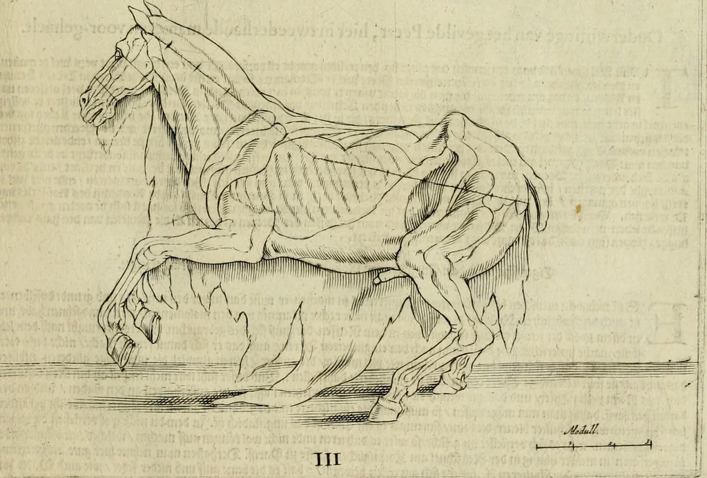 An illustration from La prima-[quinta] parte della luce del dipingere et disegnare, ..., 1643, leaf 314