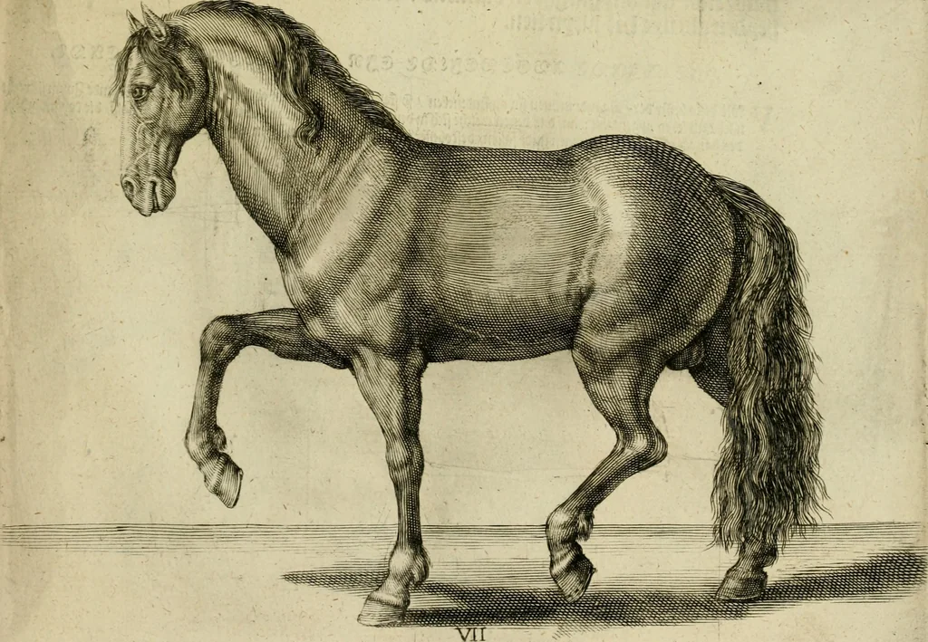 An illustration from La prima-[quinta] parte della luce del dipingere et disegnare, ..., 1643, leaf 322