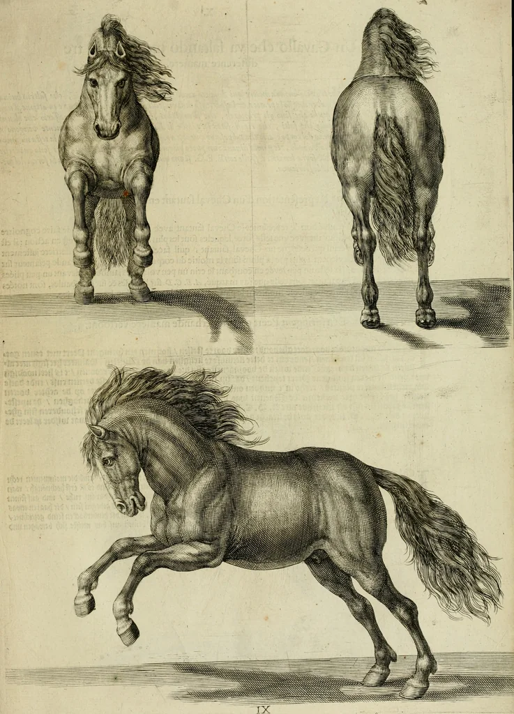 An illustration from La prima-[quinta] parte della luce del dipingere et disegnare, ..., 1643, leaf 326