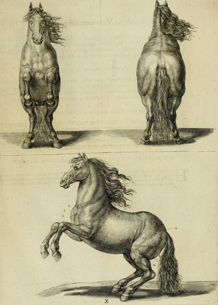 An illustration from La prima-[quinta] parte della luce del dipingere et disegnare, ..., 1643, leaf 328