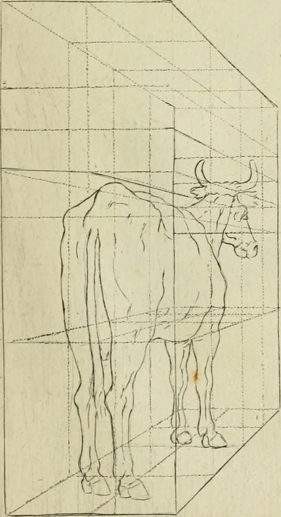An illustration from La prima-[quinta] parte della luce del dipingere et disegnare, ..., 1643, leaf 332
