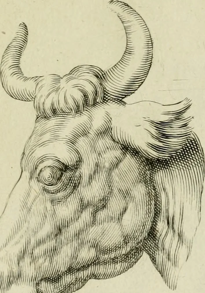 An illustration from La prima-[quinta] parte della luce del dipingere et disegnare, ..., 1643, leaf 334