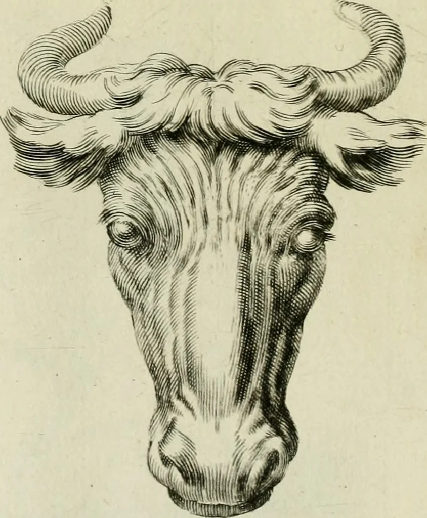 An illustration from La prima-[quinta] parte della luce del dipingere et disegnare, ..., 1643, leaf 334