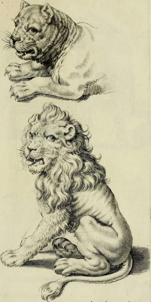 An illustration from La prima-[quinta] parte della luce del dipingere et disegnare, ..., 1643, leaf 340