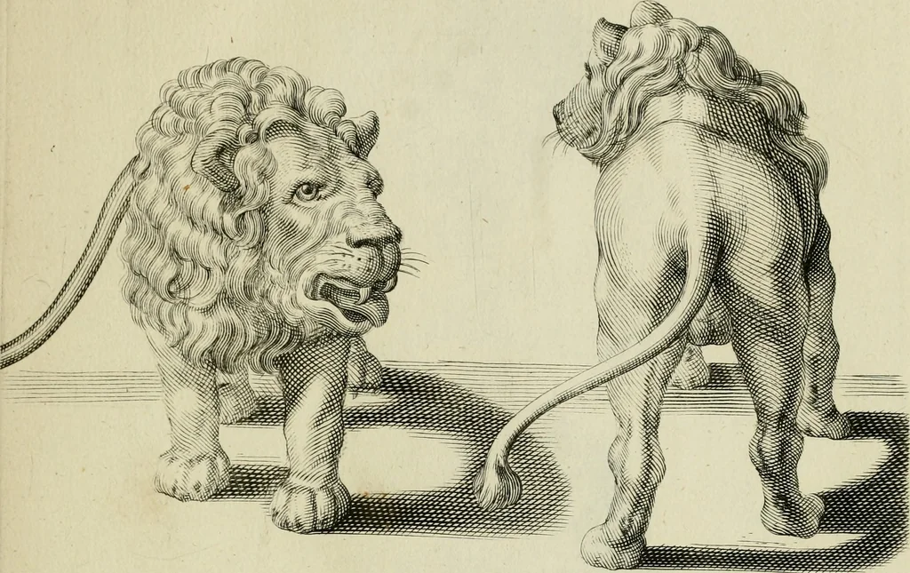 An illustration from La prima-[quinta] parte della luce del dipingere et disegnare, ..., 1643, leaf 342