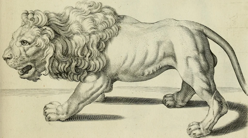 An illustration from La prima-[quinta] parte della luce del dipingere et disegnare, ..., 1643, leaf 342